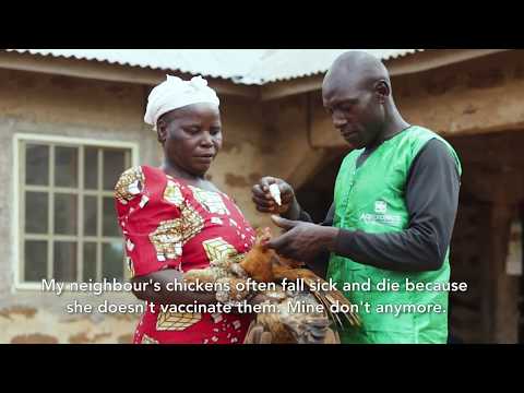 Overview of Propcom Mai-karfi documentary thumbnail