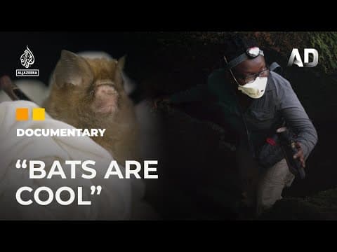 Bat Couple: Nigeria's Bat Researchers documentary thumbnail